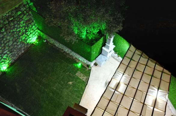 DJi_0973_585.jpg