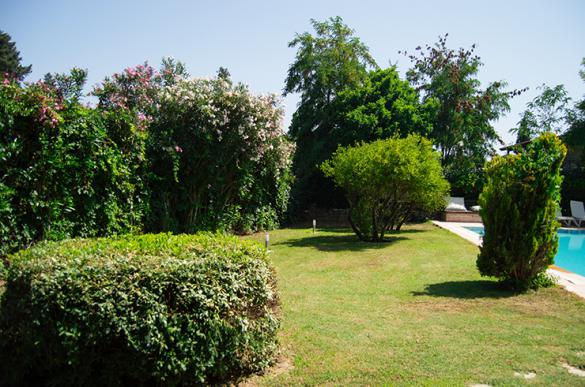 DSC_0014_439.jpg