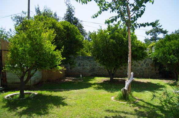 DSC_0028_312.jpg