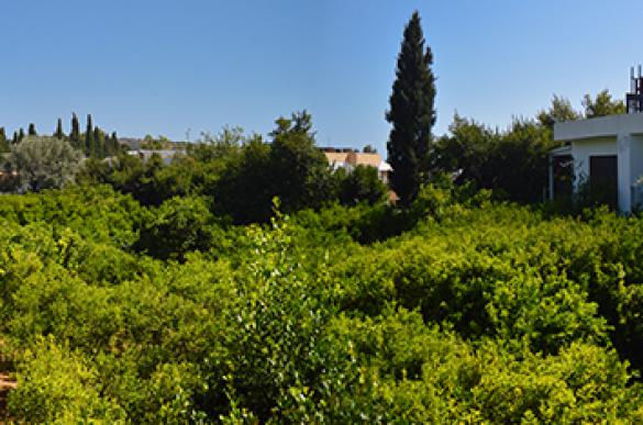 Untitled_Panorama1_512.jpg