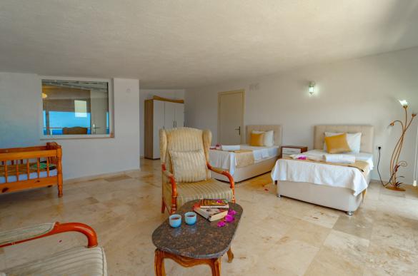 ViLLA-ALBATROS19_resize_65.jpg