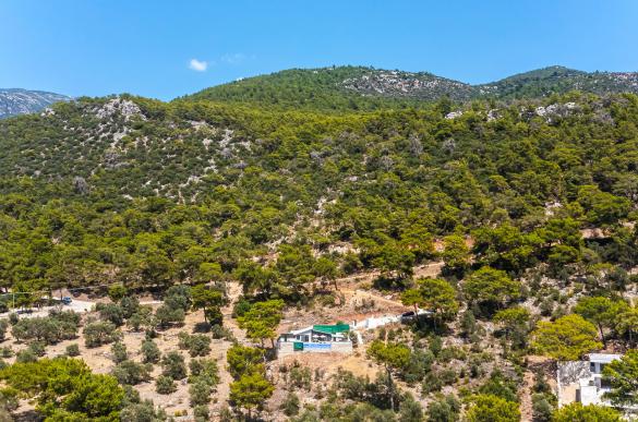 Villa-Love-House-85_590.jpg
