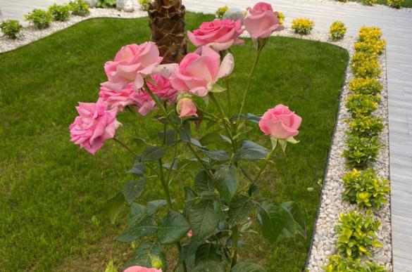 iMG-20241023-WA0024_173.jpg