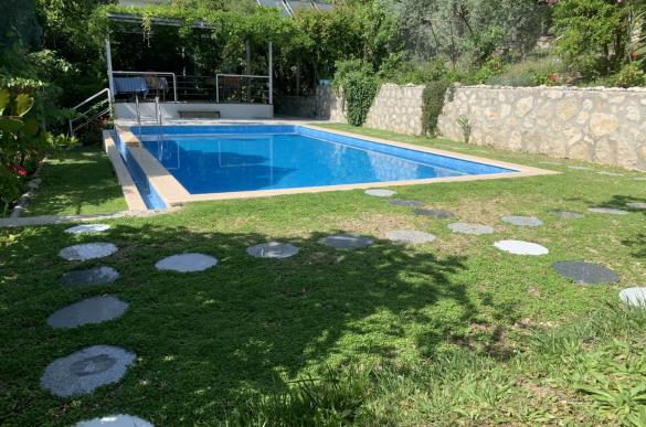 new-pool-area6_615.jpg