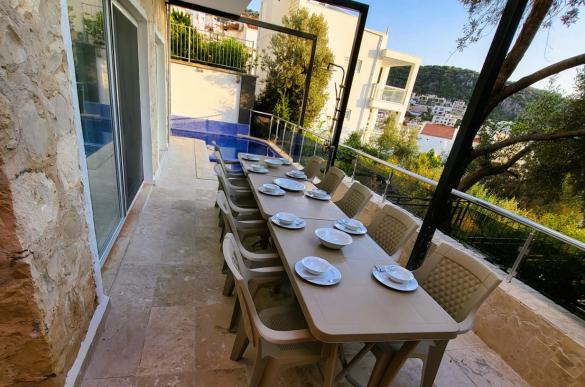 terrace-with-pool-_355.jpg
