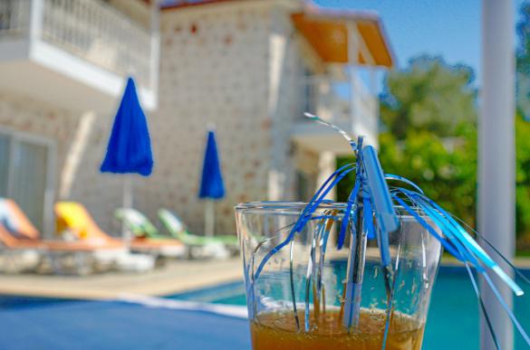 villa-atilgan-73_934_847.jpg