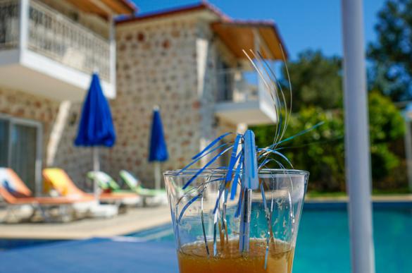 villa-atilgan-74_836_410.jpg